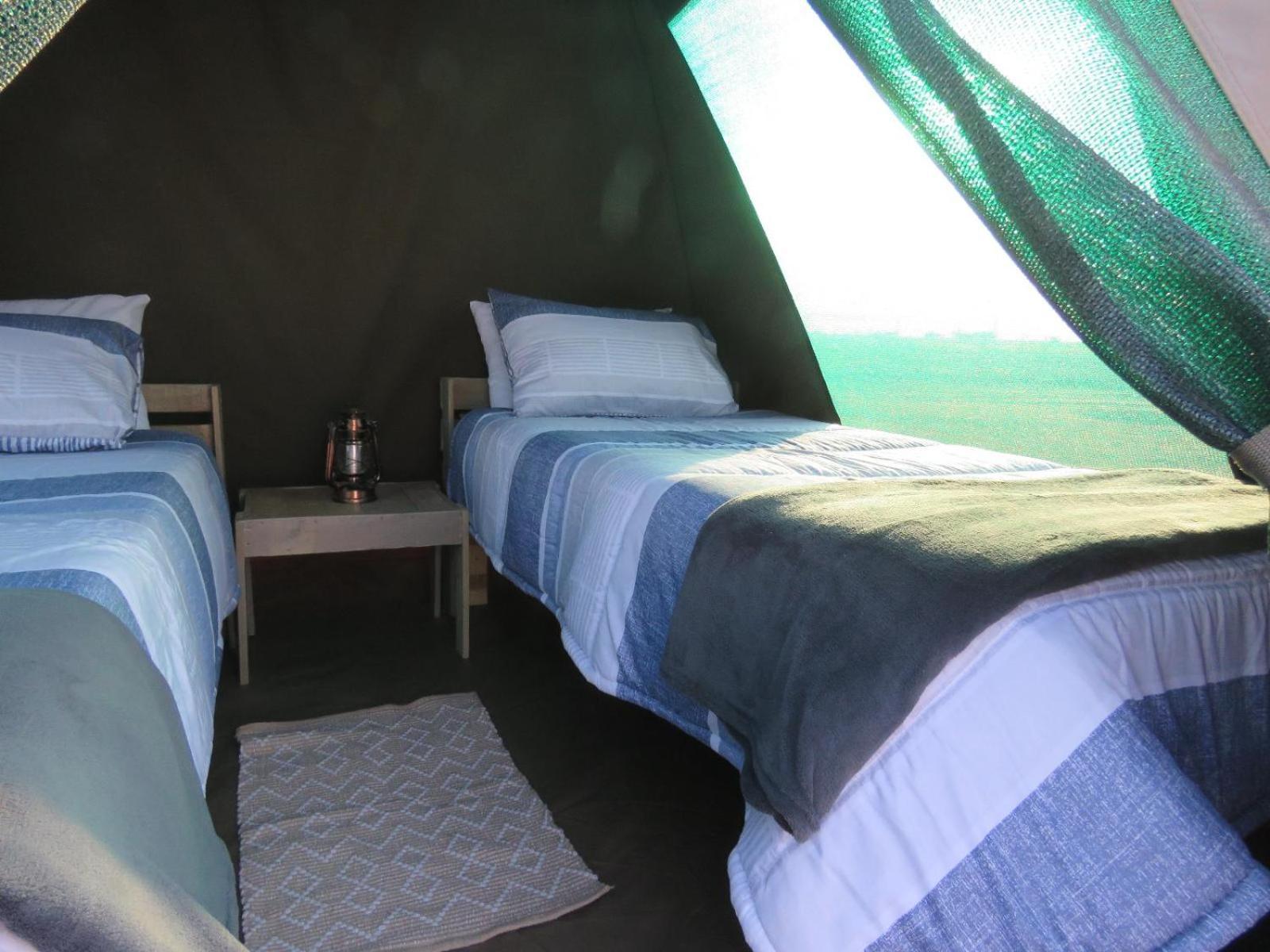 Tropic Of Capricorn Guest Farm Hotel Rehoboth Phòng bức ảnh