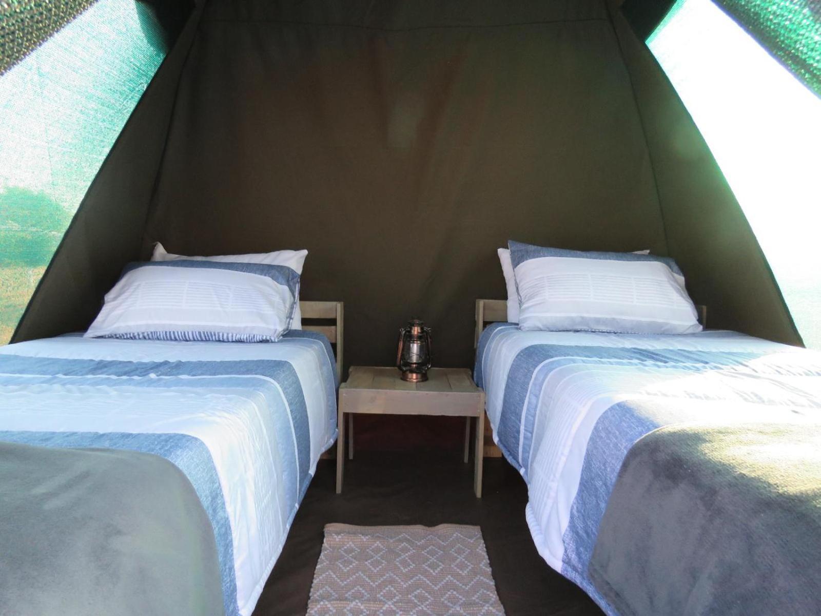 Tropic Of Capricorn Guest Farm Hotel Rehoboth Phòng bức ảnh